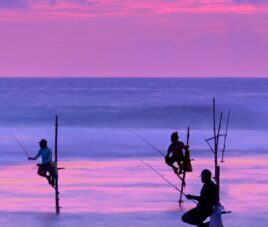 viajar solo a sri lanka