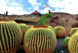 viajes solteros canarias