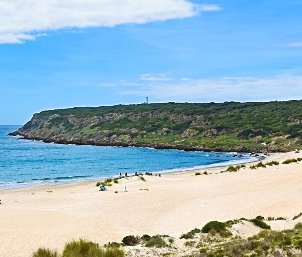 cadiz en grupo single verano 2024