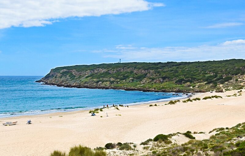 cadiz en grupo single verano 2024