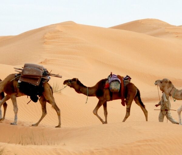 solteros de viaje en tunez y desierto