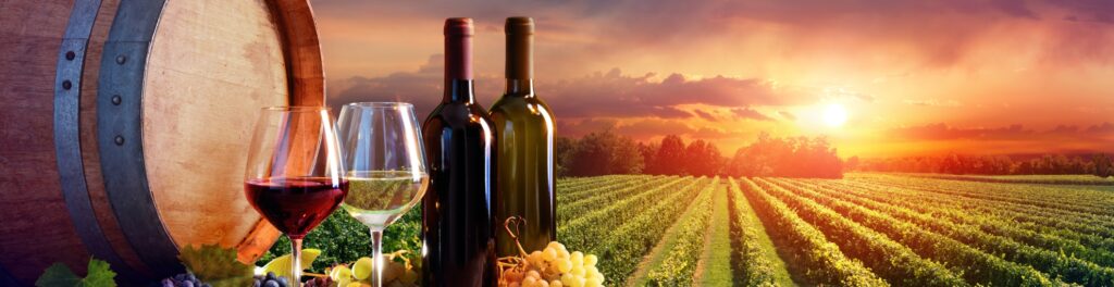 turismo single españa vino