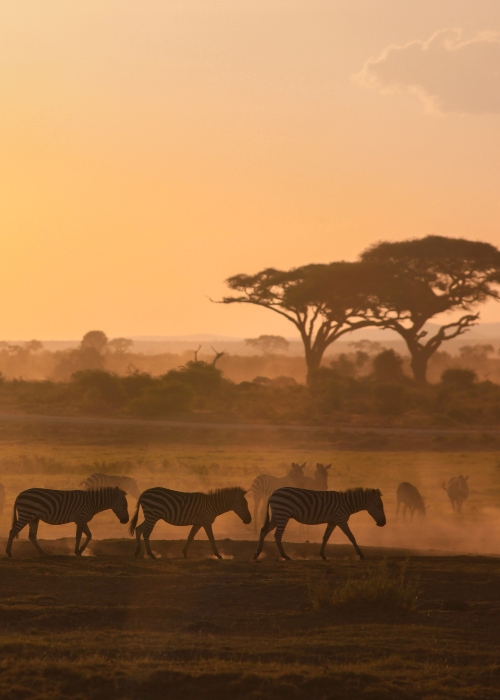 viaje fotografía a kenia