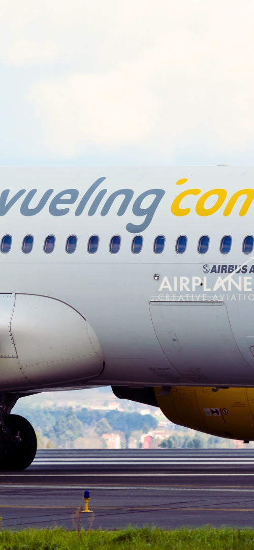 vueling mascotas