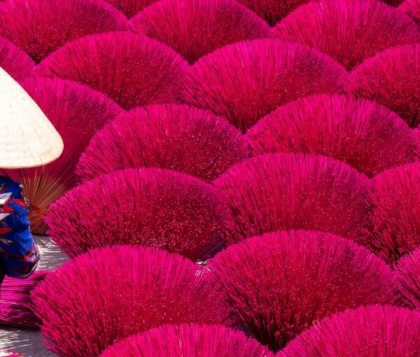 viajar solo vietnam en junio