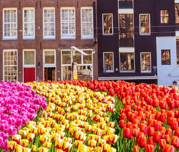 amsterdam grupo single