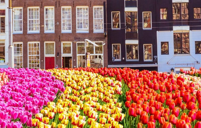 amsterdam grupo single