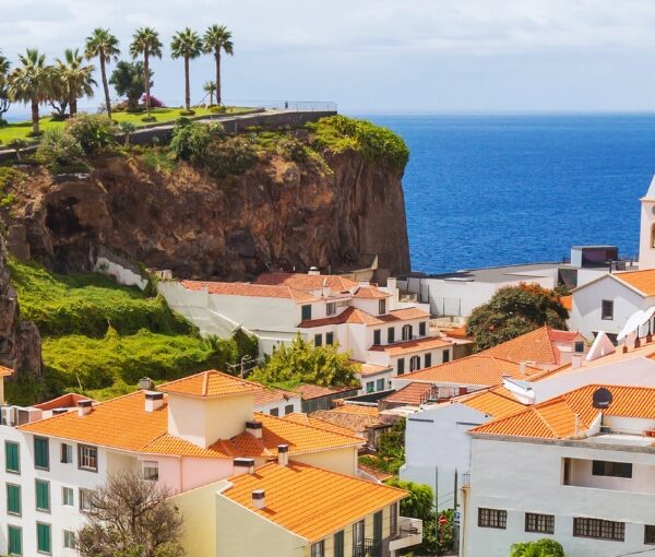 madeira en grupo single