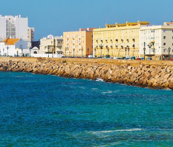 cadiz agosto en grupo