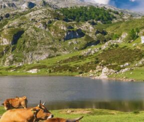 viajes a asturias en grupo