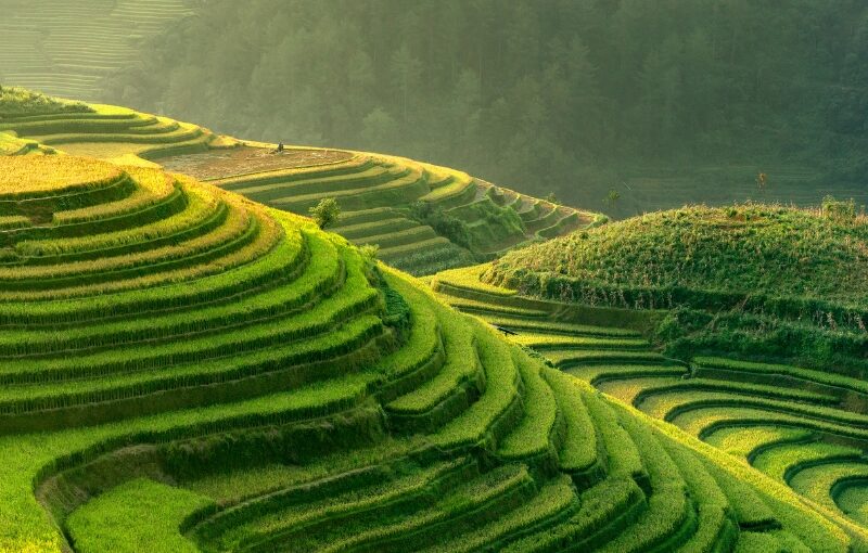 vietnam
