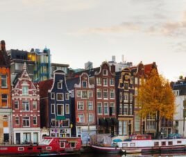 Ámsterdam Single Fin de Año