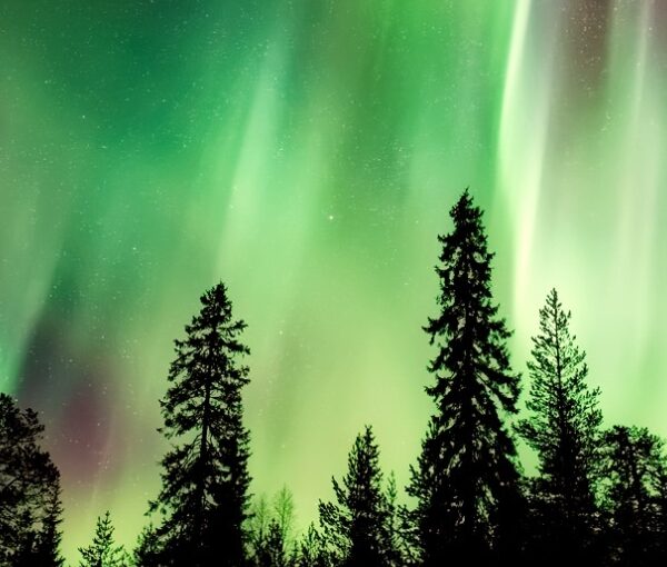 Auroras Noruega