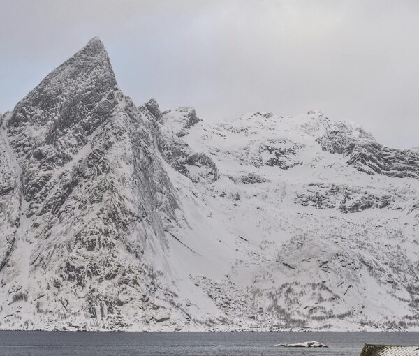 Noruega Single