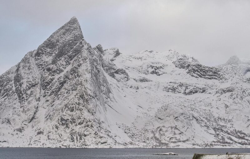 Noruega Single