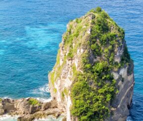Bali single Junio