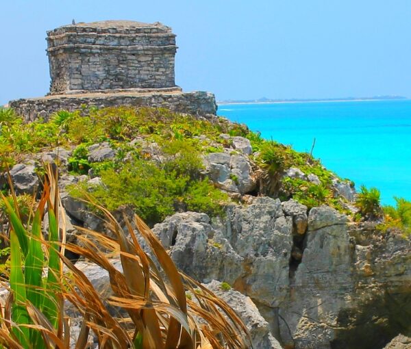 Mexico single agosto