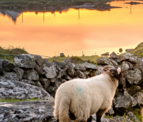 IRLANDA LA ISLA ESMERALDA