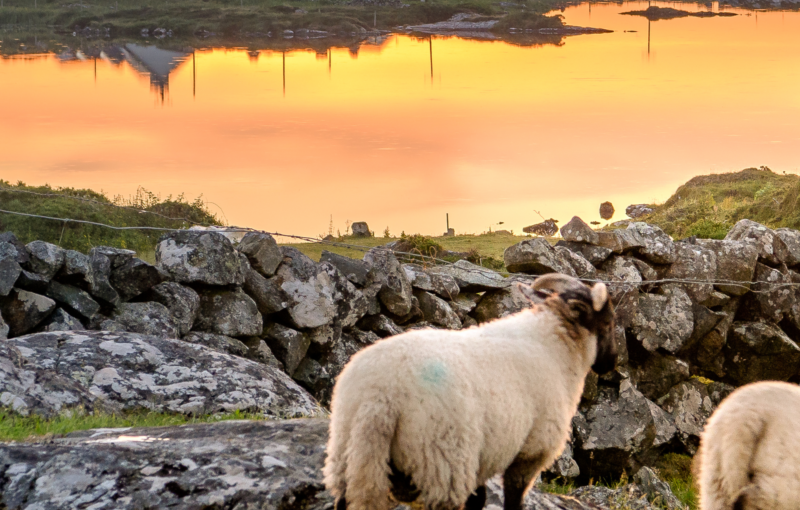 IRLANDA LA ISLA ESMERALDA