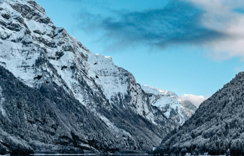 suiza y selva negra