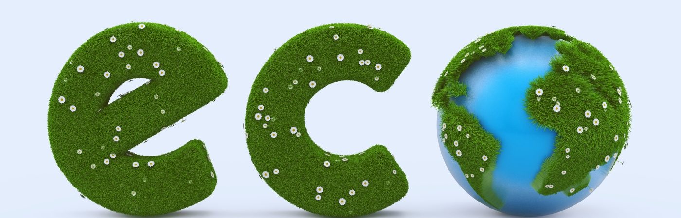 ecologia dia mundial dia mundial ecología